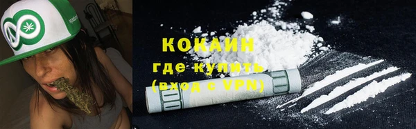 прущий лед Бородино