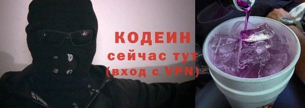 прущий лед Бородино