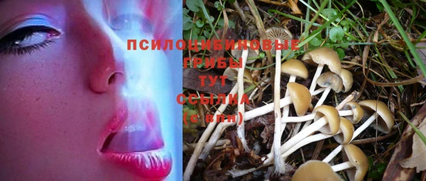 дживик Бугульма