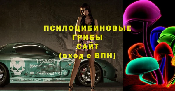 дживик Бугульма