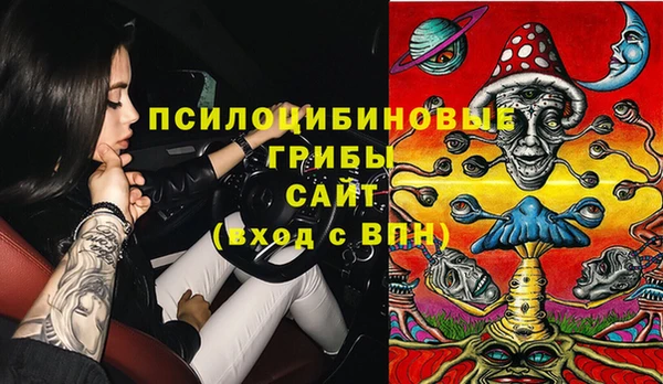 дживик Бугульма
